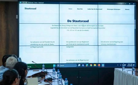 Staatsraad: Suriname moet zich beter wapenen tegen geopolitieke spanningen