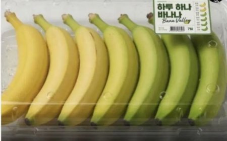 Slimme banaan uit Korea legt oud probleem in Suriname bloot