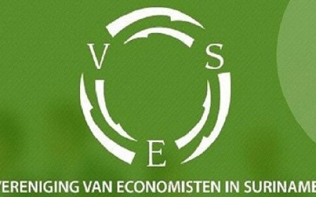 VES kiest voor onafhankelijke rol en stapt niet in Nationaal Ontwikkelingsplatform