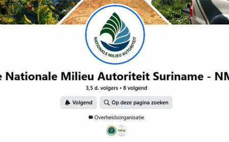 Onderzoek wijst op chemische lozing als mogelijke oorzaak vissterfte Saramaccarivier