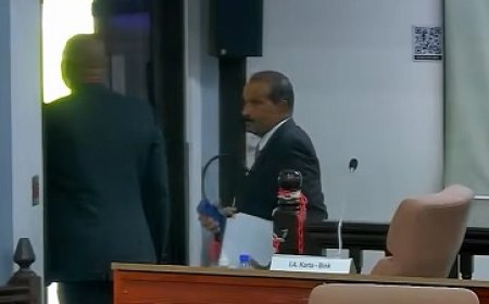 Mahinder Jogi uit vergaderzaal DNA gezet na aanvaring met Adhin