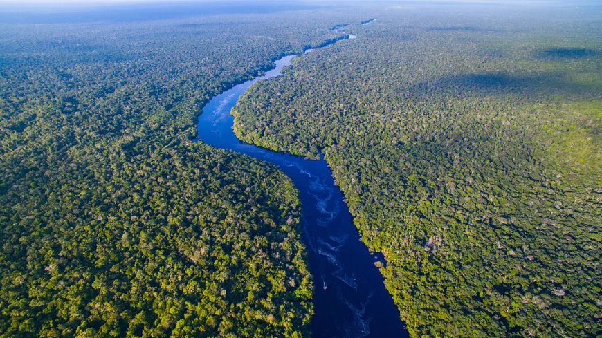 Braziliaanse overheid investeert 617,5 miljoen dollar in ecologische projecten Amazonegebied
