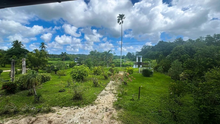 Plantage Spieringshoek herrijst uit stilte tot toeristische trekpleister