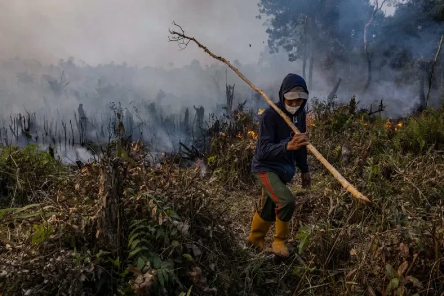 VN waarschuwt voor extreme weersomstandigheden door naderende El Niño