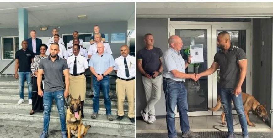 Eerste drugsspeurhond versterkt Douane Suriname