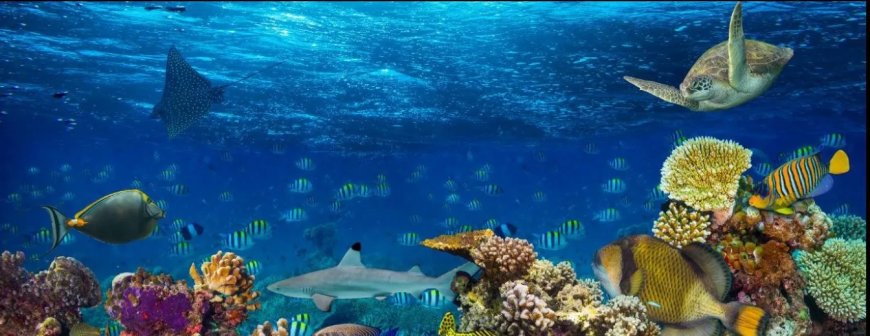 Suriname zet stap naar bescherming van internationale oceanen
