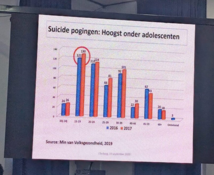 Themadag Projekta slaat wederom alarm over geweld tegen kinderen