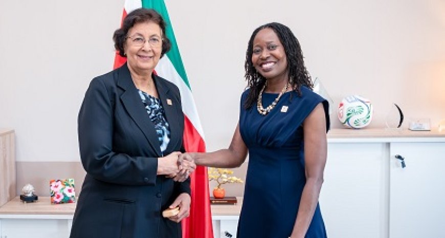 CDEMA-directeur bespreekt rampenweerbaarheid met president Simons