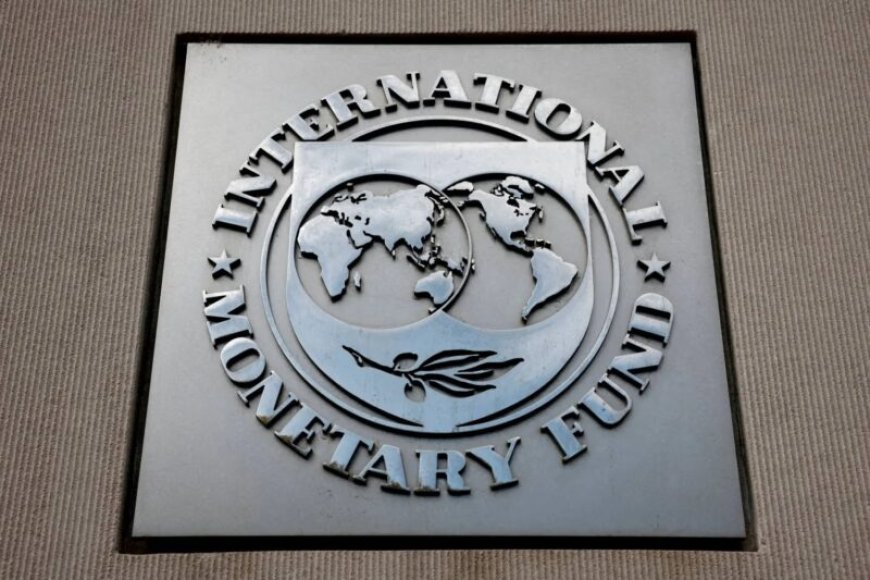 IMF: Economische groei robuust, uitdagingen bij inflatie en begrotingsbeleid