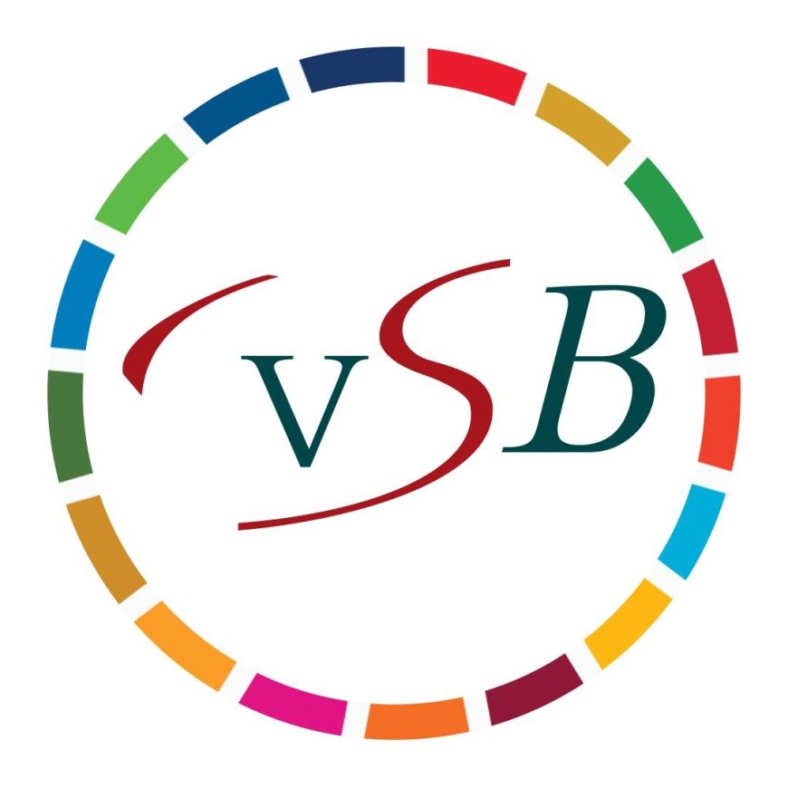 VSB kaart arbeidsmarkt problemen aan bij ILO