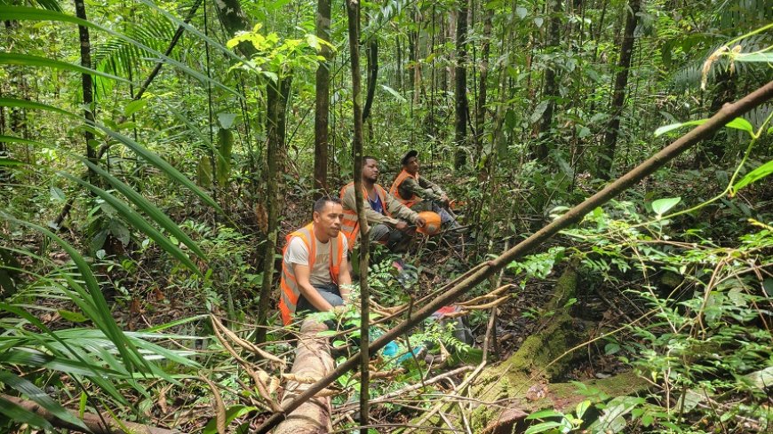 Bigi Poika toont respect voor het bos; Hoe een kleine gemeenschap geschiedenis schreef 