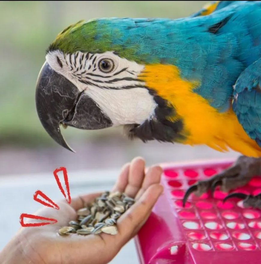 Zaden alleen zijn niet genoeg