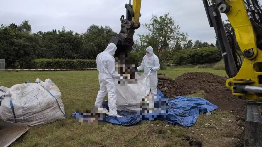 In Polen zijn tientallen dode foetussen ontdekt in tuin woning
