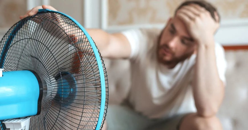 Hitte en zon domineren weekendweer