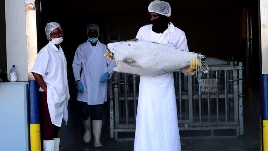 Suriname mag wederom vis exporteren naar VS