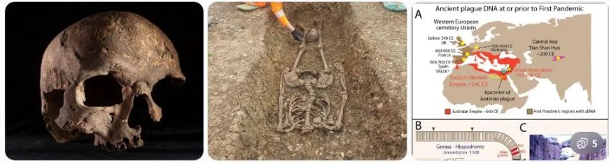 Pest gevonden bij 5000 jaar oud skelet