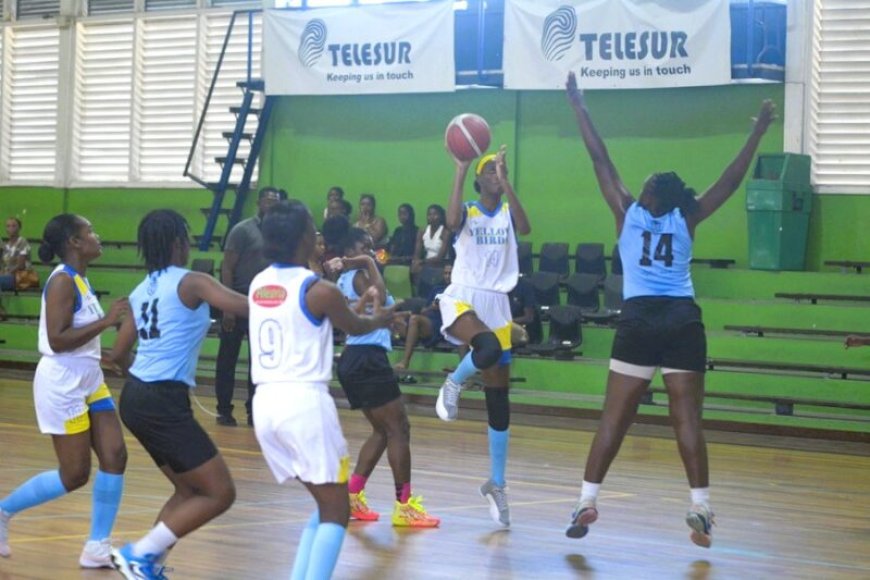 Vrouwen hoofdklasse basketbalplay-off: Yellow Birds pakt eerste zege na zwakke start