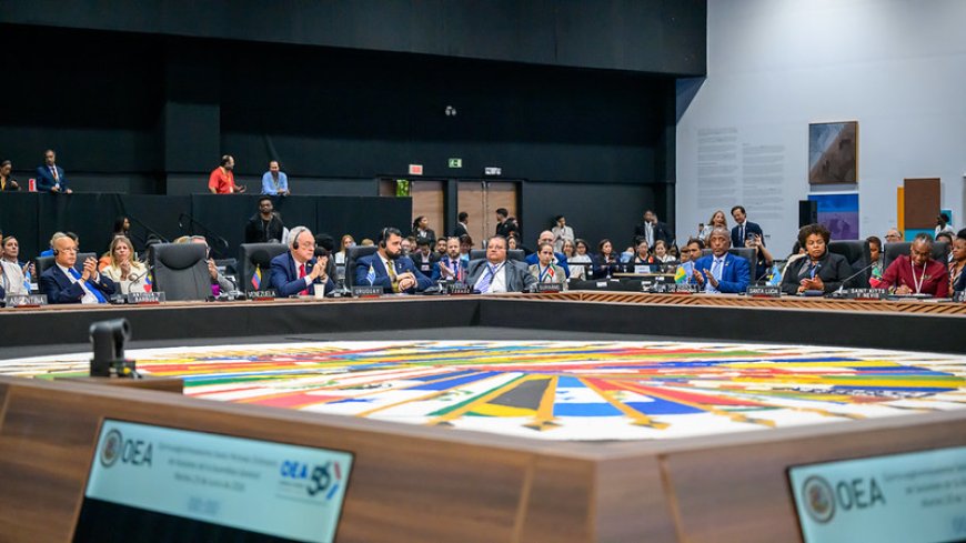 Suriname moet US$ 41.300 bijdragen aan OAS-begroting voor 2027