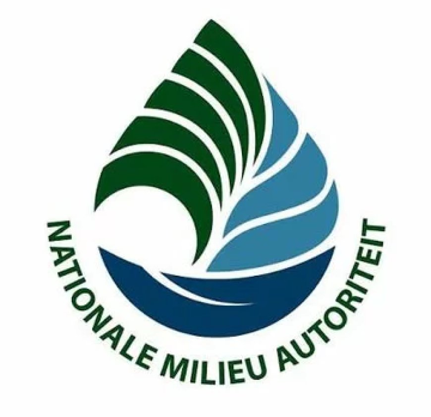 Massale  vissterfte in Moeroekreek: NMA start onderzoek