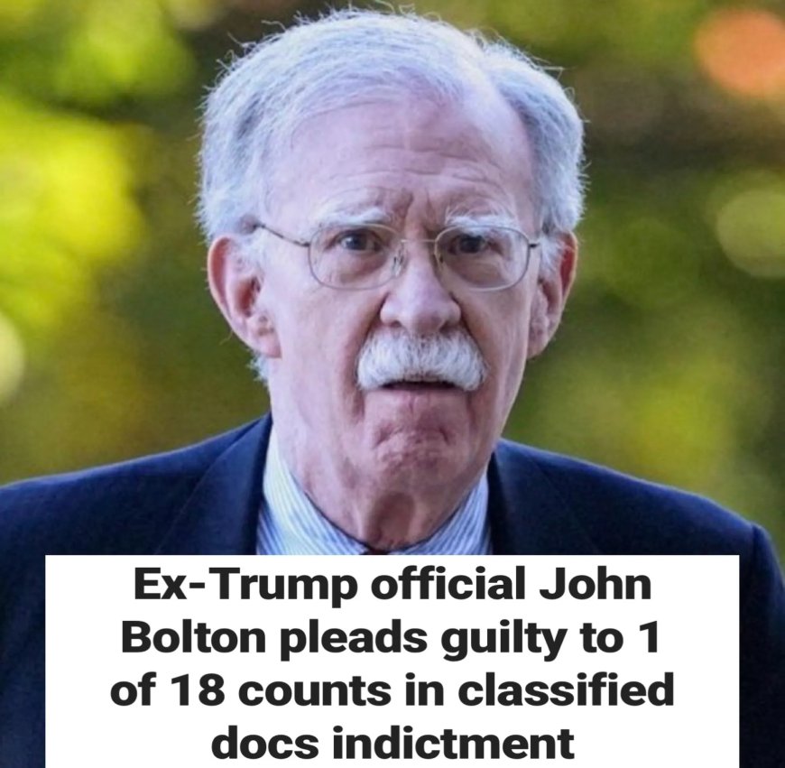 Bolton bekent schuld in documentenzaak
