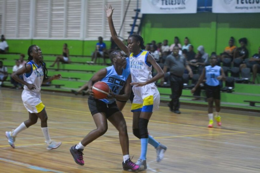 Yellow Birds plaatst zich voor vrouwen basketbalfinale