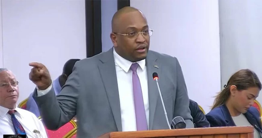Bouva: Guyana moet Grenscommissie benoemen voor hervatting Tigri-overleg