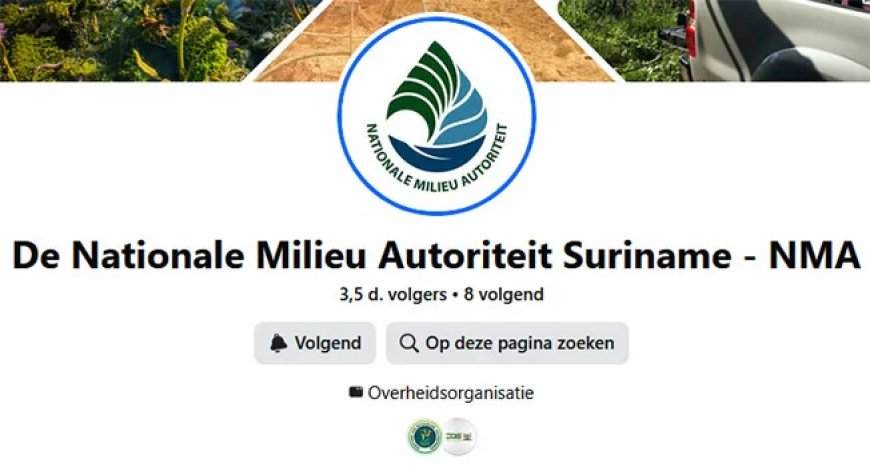 Onderzoek wijst op chemische lozing als mogelijke oorzaak vissterfte Saramaccarivier