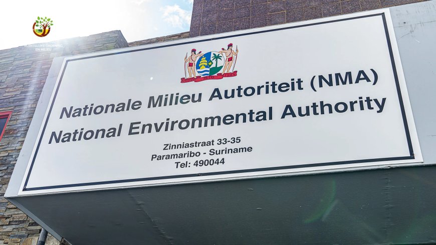NMA: ‘Vissterfte Saramaccarivier door eenmalige lozing van chemische substantie’