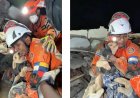 Hondje na 5 dagen onder puin gered in Venezuela