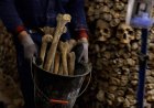 Duitse familie vindt meer dan duizend menselijke botten in macabere tuin