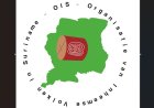 OIS eist onafhankelijk onderzoek naar vissterfte in Saramaccarivier