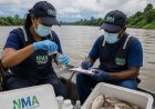 NMA schakelt internationale laboratoriumsteun in bij onderzoek naar vissterfte Boven-Saramacc