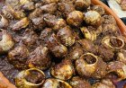 Mozambikaanse slakken: een eeuwenoude delicatesse
