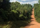 Twee Mennonieten en Surinamer gewond na schietincident op Weg naar West-Suriname