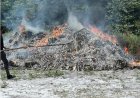 Politie vernietigt grote partij illegale sigaretten