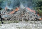 lllegale sigaretten verbrand bij Kraka