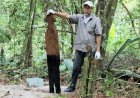 Suriname riskeert plaatsing op lijst Bedreigd Werelderfgoed UNESCO