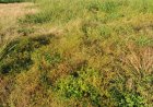 Dreigend isolement delen binnenland door achterstallig onderhoud airstrips