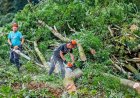 Grondroof begint niet in het bos