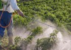 Landbouwsector onder druk door verboden lijst van bestrijdingsmiddelen