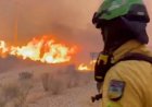 Klimaatverandering versterkt droogterisico’s in Europa door extreme hitte