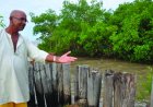 Verklaring ter gelegenheid van Wereld Mangrove Dag 2026 op 26 juli 