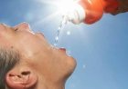 Warm weer en kans op onweersbuien: let op hittestress
