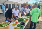 LVV promoot gezonde voeding op beurs in Brokopondo