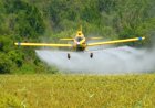 Landbouwsector bezorgd over importverbod bestrijdingsmiddelen