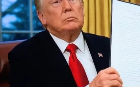 Hof VS houdt geboorterecht in stand – Streep door rekening van Trump