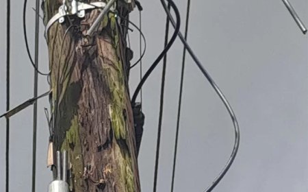 Derde sabotage in vier dagen: Telesur ziet schade aan glasvezelnetwerk oplopen