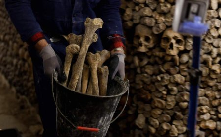 Duitse familie vindt meer dan duizend menselijke botten in macabere tuin