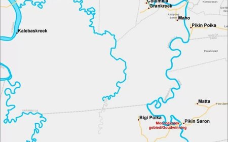 Kritiek op onderzoek naar vissterfte neemt toe