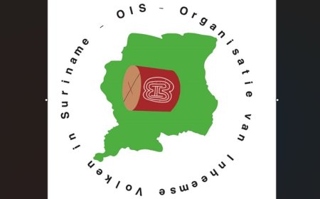 OIS eist onafhankelijk onderzoek naar vissterfte in Saramaccarivier